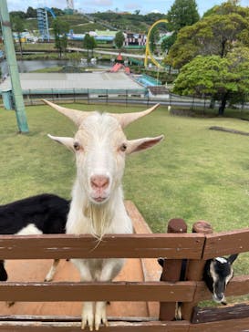 グリーンランドに投稿された画像（2022/4/24）