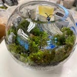 カルチャースクールいろはに投稿された画像（2022/4/24）