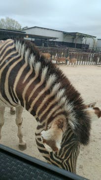 那須サファリパークに投稿された画像（2022/4/24）