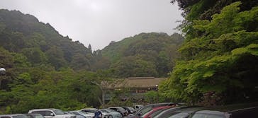 アソビュー株式会社　150881に投稿された画像（2022/4/24）