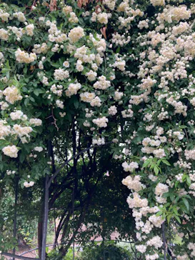 ひらかたパークに投稿された画像（2022/4/24）