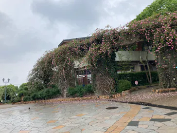 ひらかたパークに投稿された画像（2022/4/24）