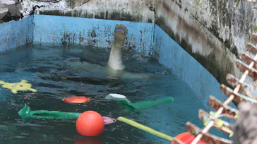 天王寺動物園に投稿された画像（2022/4/24）