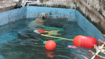 天王寺動物園に投稿された画像（2022/4/24）