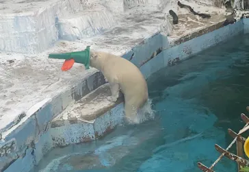 天王寺動物園に投稿された画像（2022/4/24）