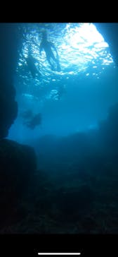 武藤潜水に投稿された画像（2022/4/24）