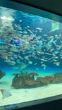 サンシャイン水族館に投稿された画像（2022/4/24）