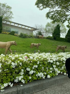 よこはま動物園ズーラシアに投稿された画像（2022/4/24）