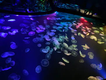 すみだ水族館に投稿された画像（2022/4/24）