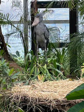 神戸どうぶつ王国に投稿された画像（2022/4/24）