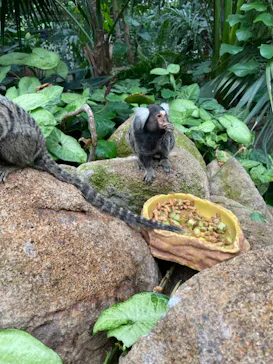 神戸どうぶつ王国に投稿された画像（2022/4/24）