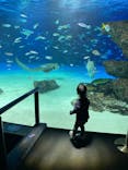 サンシャイン水族館に投稿された画像（2022/4/24）