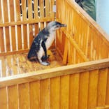 南知多ビーチランド＆南知多おもちゃ王国に投稿された画像（2022/4/24）