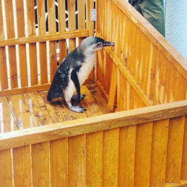 南知多ビーチランド＆南知多おもちゃ王国に投稿された画像（2022/4/24）