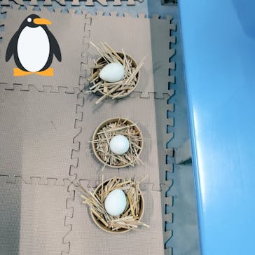 南知多ビーチランド＆南知多おもちゃ王国に投稿された画像（2022/4/24）