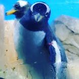 南知多ビーチランド＆南知多おもちゃ王国に投稿された画像（2022/4/24）