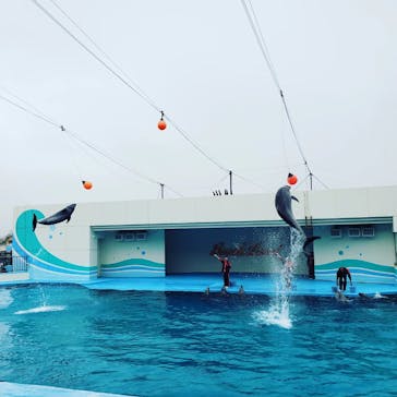 南知多ビーチランド＆南知多おもちゃ王国に投稿された画像（2022/4/24）