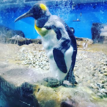 南知多ビーチランド＆南知多おもちゃ王国に投稿された画像（2022/4/24）