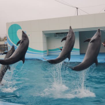 南知多ビーチランド＆南知多おもちゃ王国に投稿された画像（2022/4/24）