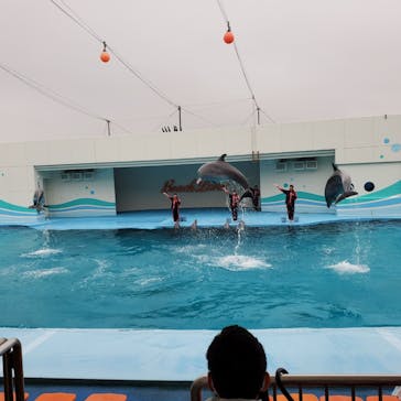 南知多ビーチランド＆南知多おもちゃ王国に投稿された画像（2022/4/24）