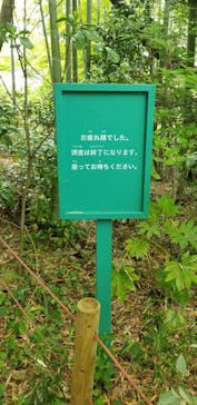 よみうりランド 遊園地に投稿された画像（2022/4/24）