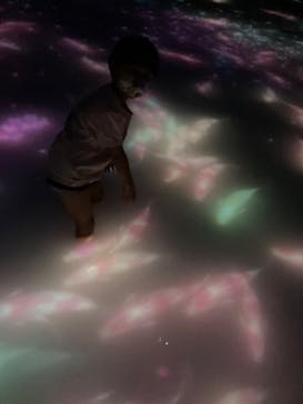 チームラボプラネッツ TOKYO DMMに投稿された画像（2022/4/24）