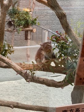 淡路ファームパーク イングランドの丘に投稿された画像（2022/4/24）