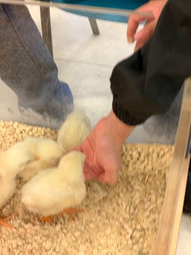 Moff animal world BIGHOPガーデンモール印西店に投稿された画像（2022/4/24）