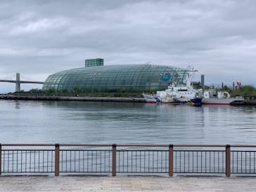 環境水族館アクアマリンふくしまに投稿された画像（2022/4/24）