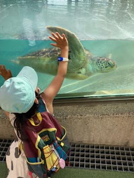 新江ノ島水族館に投稿された画像（2022/4/24）