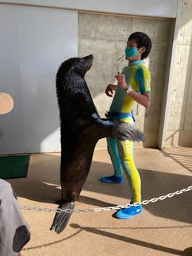 新江ノ島水族館に投稿された画像（2022/4/24）