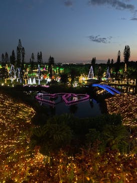 美らヤシパークオキナワ・東南植物楽園に投稿された画像（2022/4/24）