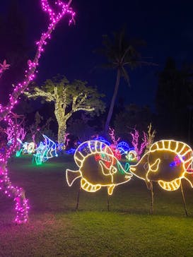 美らヤシパークオキナワ・東南植物楽園に投稿された画像（2022/4/24）