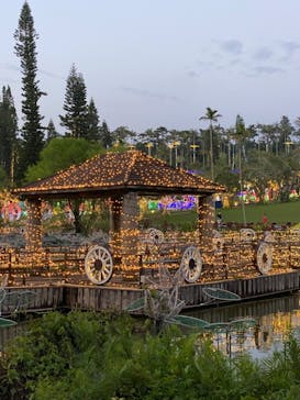 美らヤシパークオキナワ・東南植物楽園に投稿された画像（2022/4/24）