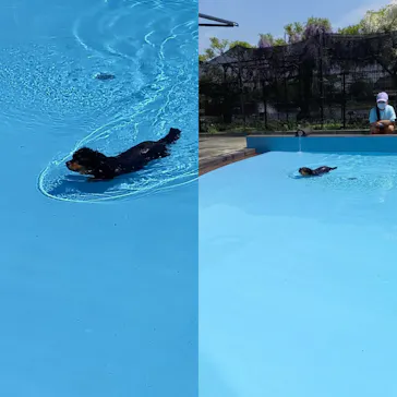 わんダフルネイチャーヴィレッジに投稿された画像（2022/4/24）