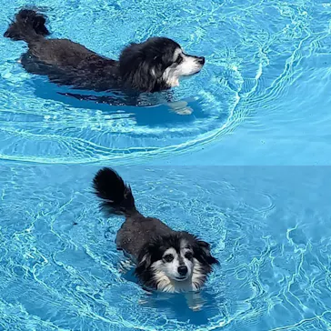 わんダフルネイチャーヴィレッジに投稿された画像（2022/4/24）