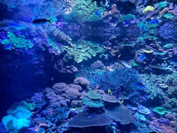 大分マリーンパレス水族館 「うみたまご」に投稿された画像（2022/4/24）