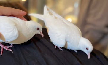 Moff animal cafe イオンモール幕張新都心店に投稿された画像（2022/4/25）