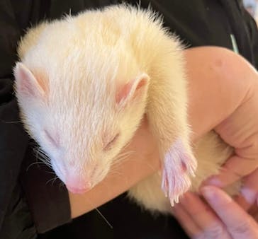 Moff animal cafe イオンモール幕張新都心店に投稿された画像（2022/4/25）