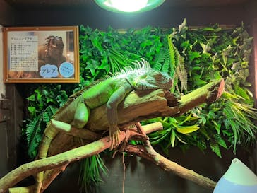 Moff animal cafe イオンモール幕張新都心店に投稿された画像（2022/4/25）