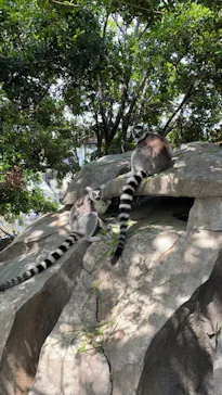 神戸どうぶつ王国に投稿された画像（2022/4/25）