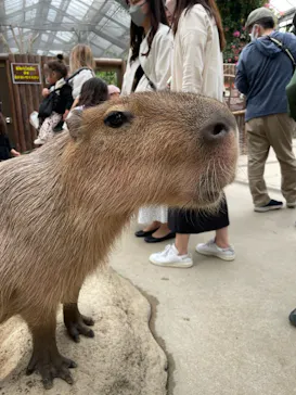 神戸どうぶつ王国に投稿された画像（2022/4/25）
