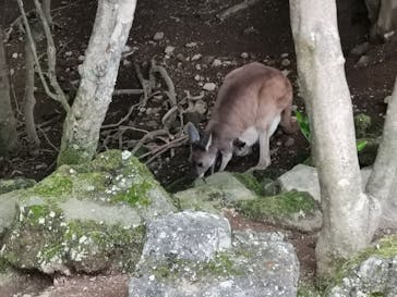 伊豆シャボテン動物公園に投稿された画像（2022/4/25）
