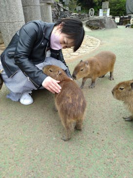 伊豆シャボテン動物公園に投稿された画像（2022/4/25）
