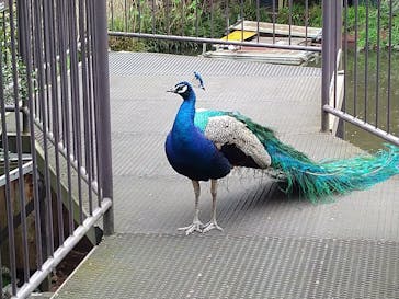 伊豆シャボテン動物公園に投稿された画像（2022/4/25）