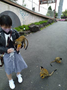 伊豆シャボテン動物公園に投稿された画像（2022/4/25）