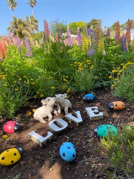 ニューヨークランプミュージアム＆フラワーガーデンに投稿された画像（2022/4/25）