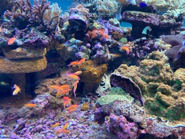 サンシャイン水族館に投稿された画像（2022/4/25）