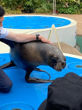 サンシャイン水族館に投稿された画像（2022/4/25）