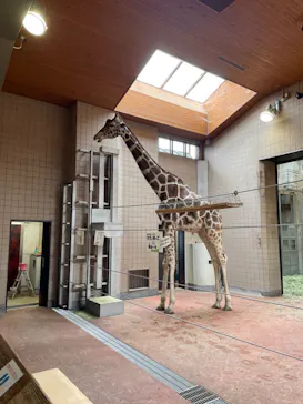 天王寺動物園に投稿された画像（2022/4/25）